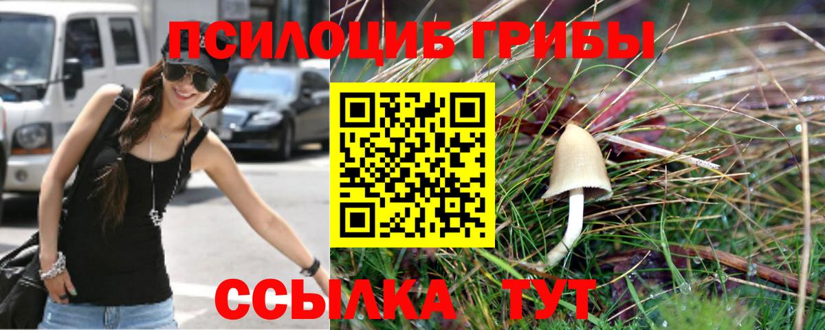 Конопля  ГАШ  НБОМе  Вход с VPN  КОКАИН  Меф МЯУ МЯУ  МЕТ  Петропавловск-Камчатский  А ПВП СОЛЬ   МЕФ кристаллы 