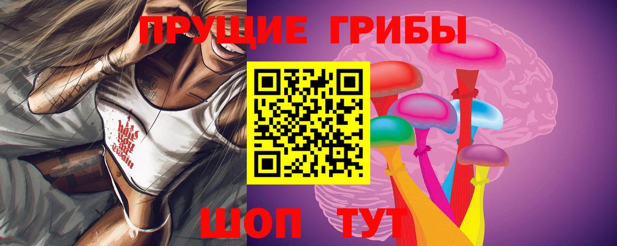 Петропавловск-Камчатский  Псилоцибиновые грибы Psilocybe  Вход с VPN 